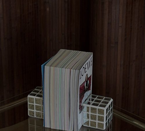 atelier-cosmo-Ivana-Zoldakova_11_disco-bookends