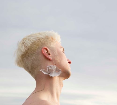 Barbora-Opatova_02_Symbol-Cloud-Secrtet_2