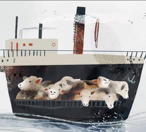 Bianka-Torok_19_Transport-zivavlna