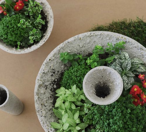 Michaela-Koprdova_03_bakalarska-praca-Home-green-home