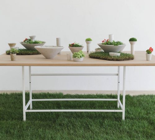 Michaela-Koprdova_04_bakalarska-praca-Home-green-hom
