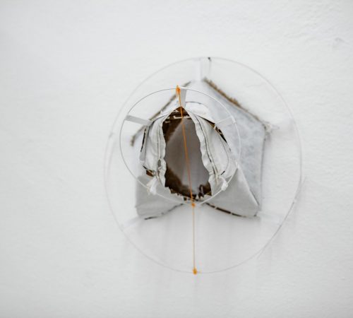 Danica-Pistekova_03_fashionTaxidermy01