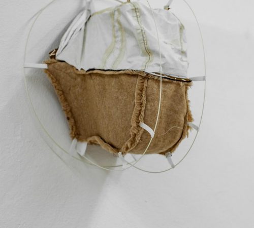 Danica-Pistekova_04_FashionTaxidermy02