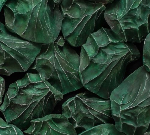 Diana-Paulova_07_Ivy-foto-Diana-Paulova