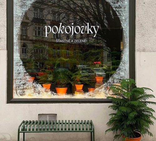 Dominika-Kramerova_07-Pokojovky-Praha-2021