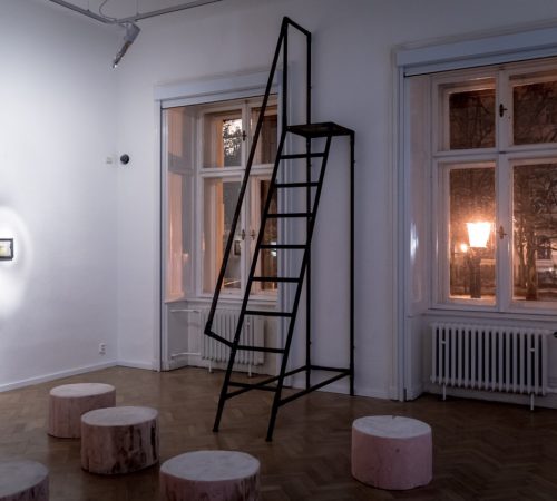 Doris-Siskova_04_Doe-vs.-Siren-Medium-Gallery-2025-photo-credits-Michaela-Prableskova