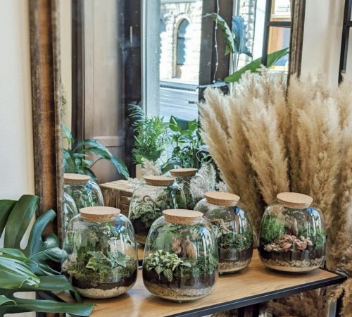 Flower-Therapy_24-Terarium