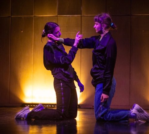 Ivo-Dobrovodsky_13_tanecna-performance-Svitekova-Prieckova-–-You-dont-need-to-know-why-Caroline-foto-Leontina-Berkova