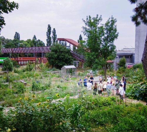 Juraj-Haris_14_Comunity-Garden_01