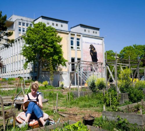 Juraj-Haris_15_Comunity-Garden_02