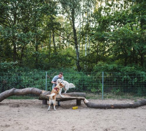 Juraj-Haris_26_Drevene-prvky-urcene-pre-psy-vo-vybehu-pri-jazere-Rusalka-–-Worksop-Mood-for-Wood-2019-Poznan-Juraj-Haris-a-Filip-Ponechal_02