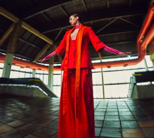 Karin-Elizova_11-RED-–-semestralna-praca-2