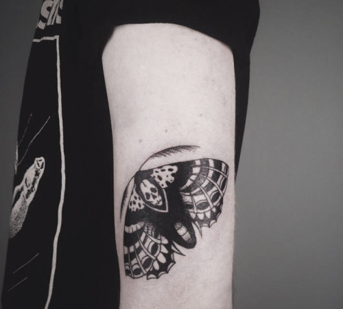 les-paskarenko_03-Moth