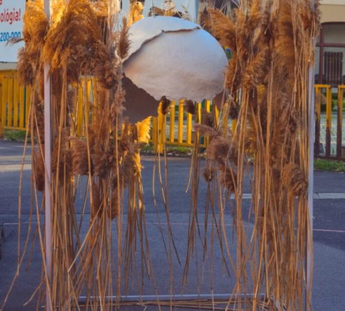 Lucia-Vesela_03_Crack-in-the-shell-mix-medii-200-x-160-x-130-cm-2021-Vystava-Crack-in-the-Shell-Kulturny-prostriedok-T3-Bratislava