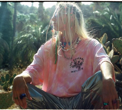 Maros-Smeringai-Joy-Research-Institute_08_Die-All-Hippies-foto-Pavol-Hedmeg