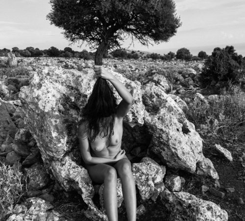 Viki-Kollerova_16_Where-I-Grow-Olive-Krata-2021
