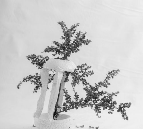 ZHENI-Evgeniia-Kazarezova_09